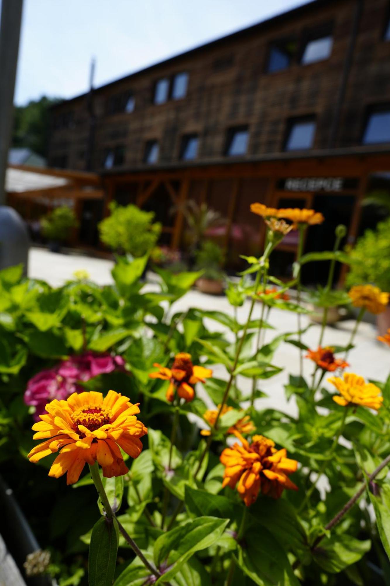 Sporthotel Barborka Hluboká nad Vltavou Esterno foto